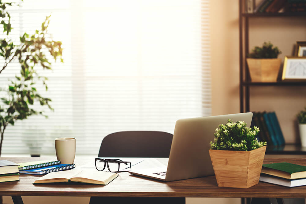 home office with light coming in through blinds lots of plants and organised neat and tidy shelves to work from home 